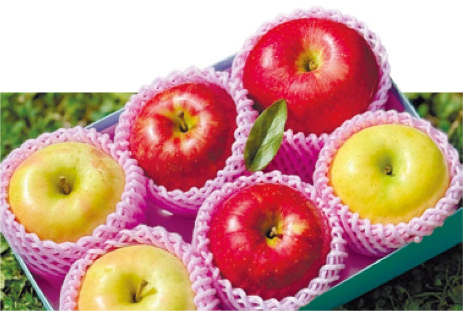 青森りんご3種類